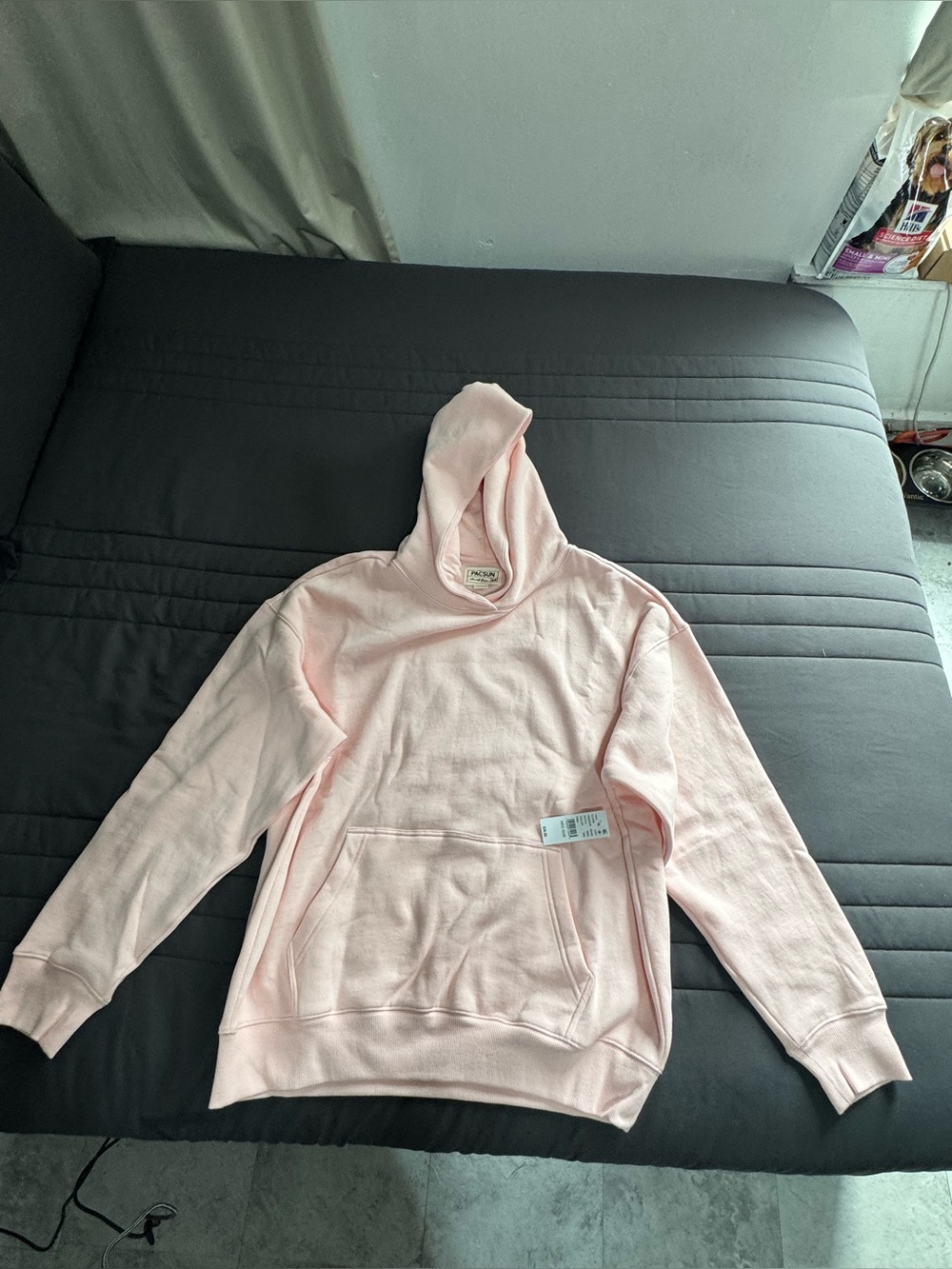 Pacsun Pink Ultra Soft Fleece Core Vintage Wash Pullover Hoodie